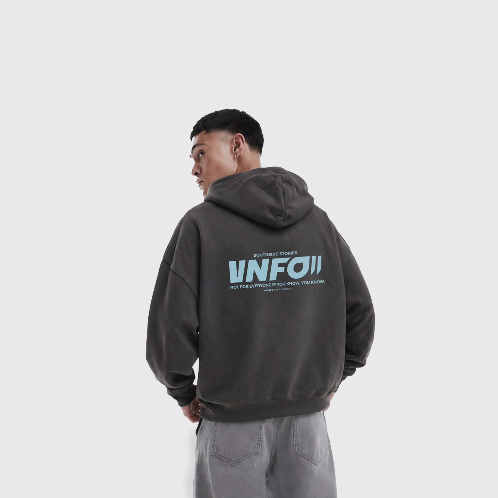 Hoodie VNFO (Gris)