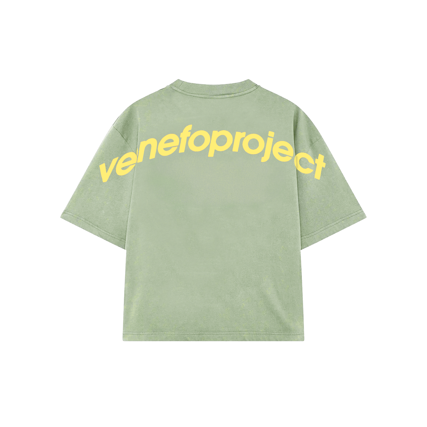 Remera VenefoProject (Oversize) (Verde)